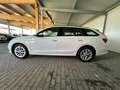 Skoda Octavia Ambition iV Blanc - thumbnail 7