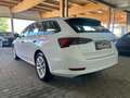 Skoda Octavia Ambition iV Blanc - thumbnail 6
