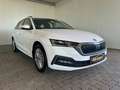 Skoda Octavia Ambition iV Blanc - thumbnail 1