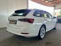 Skoda Octavia Ambition iV Blanc - thumbnail 4