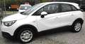 Opel Crossland X Crossland X 1.2 Innovation 81cv OK NEO. Bianco - thumbnail 2