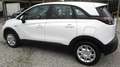 Opel Crossland X Crossland X 1.2 Innovation 81cv OK NEO. Bianco - thumbnail 6