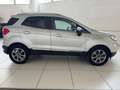 Ford EcoSport EcoSport 2018 1.0 ecoboost Titanium s Argento - thumbnail 7