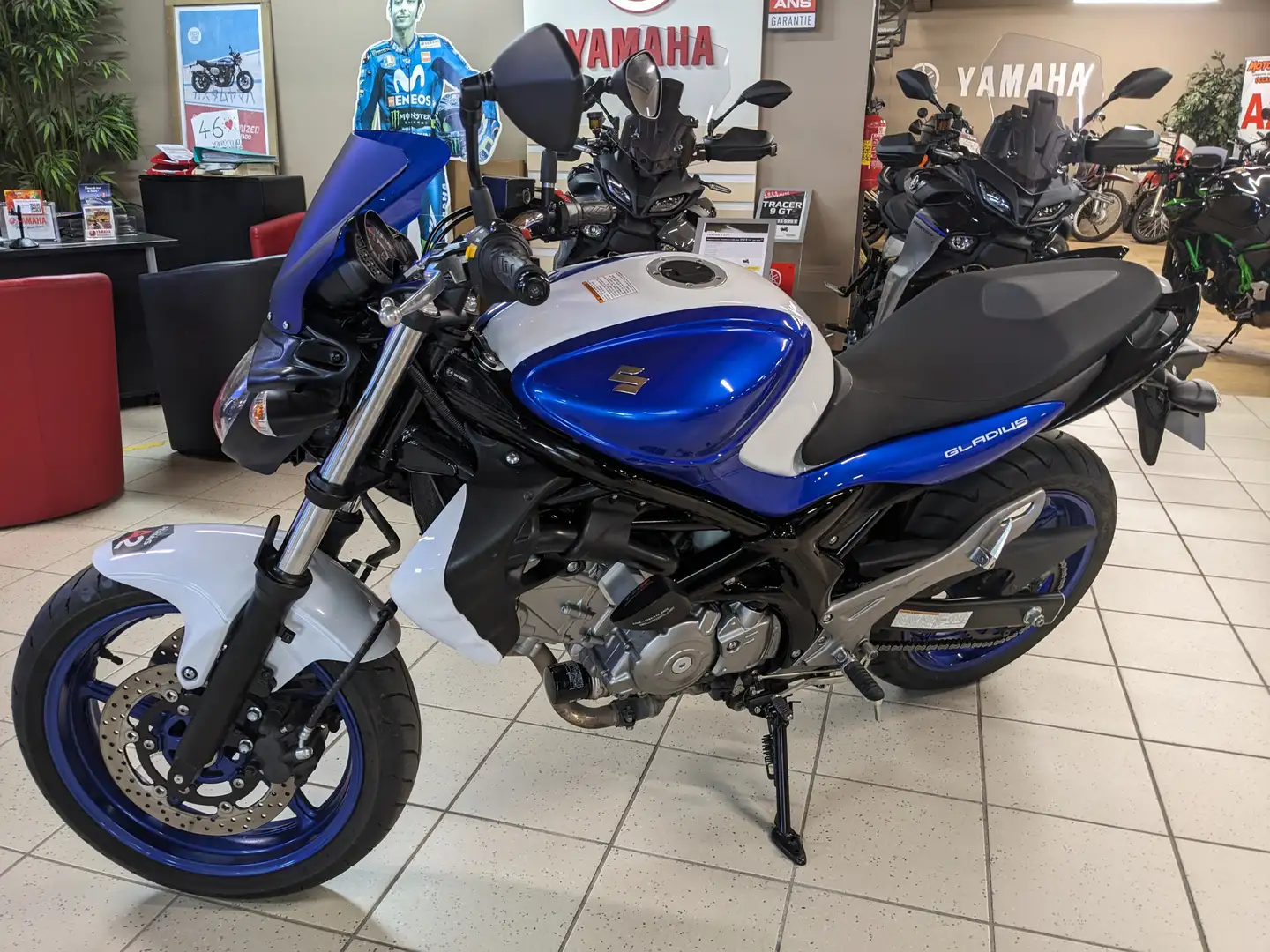 Suzuki Gladius 650 Biały - 2