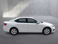 Skoda Octavia Ambition TDI Weiß - thumbnail 6