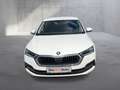 Skoda Octavia Ambition TDI Weiß - thumbnail 8