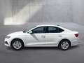 Skoda Octavia Ambition TDI Weiß - thumbnail 2
