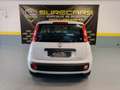 Fiat Panda 1.2 Pop Weiß - thumbnail 5