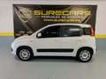 Fiat Panda 1.2 Pop Weiß - thumbnail 3