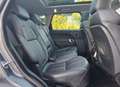 Land Rover Range Rover Sport 3.0 tdv6 HSE / Tettuccio Panoramico / Euro6 Grau - thumbnail 14