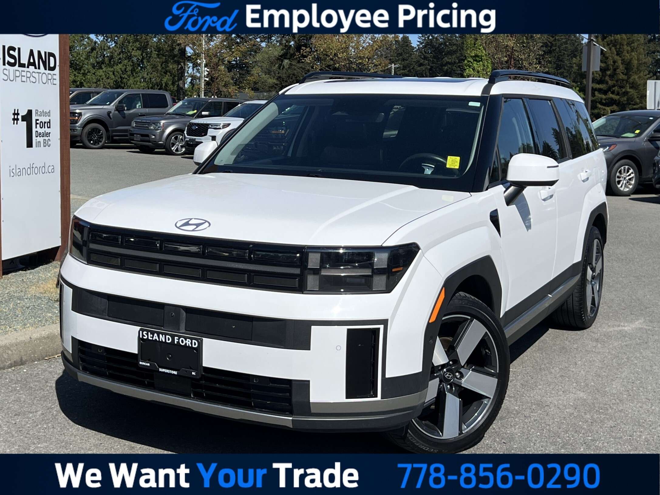 White 2024 Hyundai Santa Fe SUV / Crossover Automatic