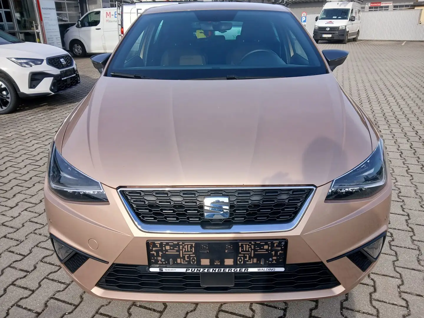 SEAT Ibiza Xcellence EcoTSI Gold - 2