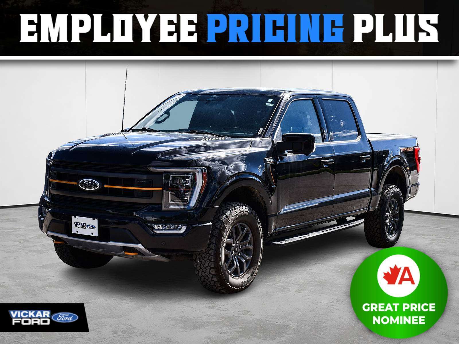 2023 Ford F 150