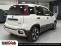 Fiat Panda Pandina Cross  1.0 FireFly S&S Hybrid PROMO FLEX Grün - thumbnail 5
