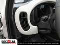 Fiat Panda Pandina Cross  1.0 FireFly S&S Hybrid PROMO FLEX Grün - thumbnail 13