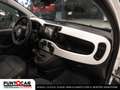 Fiat Panda Pandina Cross  1.0 FireFly S&S Hybrid PROMO FLEX Grün - thumbnail 14