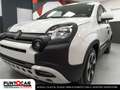 Fiat Panda Pandina Cross  1.0 FireFly S&S Hybrid PROMO FLEX Grün - thumbnail 16