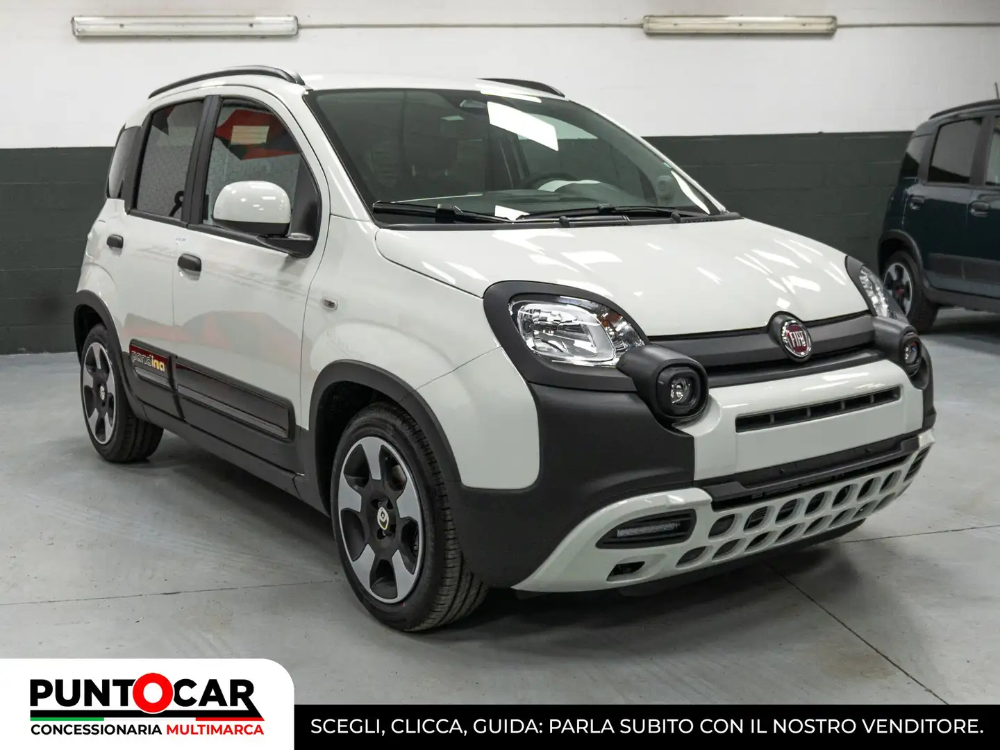 Fiat Panda Pandina Cross  1.0 FireFly S&S Hybrid PROMO FLEX Grün - 2