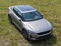Polestar 2 Long range SOH 91%,Pilot* Plus * leder interieur Bronze - thumbnail 1