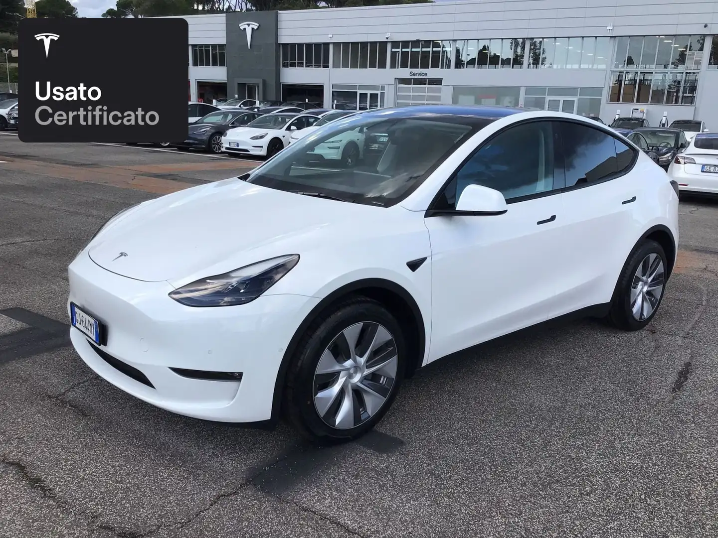 Tesla Model Y Long Range AWD Bianco - 1