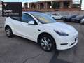Tesla Model Y Long Range AWD Bianco - thumbnail 11