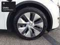 Tesla Model Y Long Range AWD Bianco - thumbnail 10
