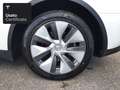 Tesla Model Y Long Range AWD Bianco - thumbnail 5