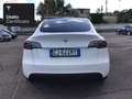 Tesla Model Y Long Range AWD Bianco - thumbnail 7