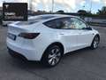 Tesla Model Y Long Range AWD Bianco - thumbnail 6