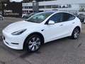 Tesla Model Y Long Range AWD Bianco - thumbnail 3
