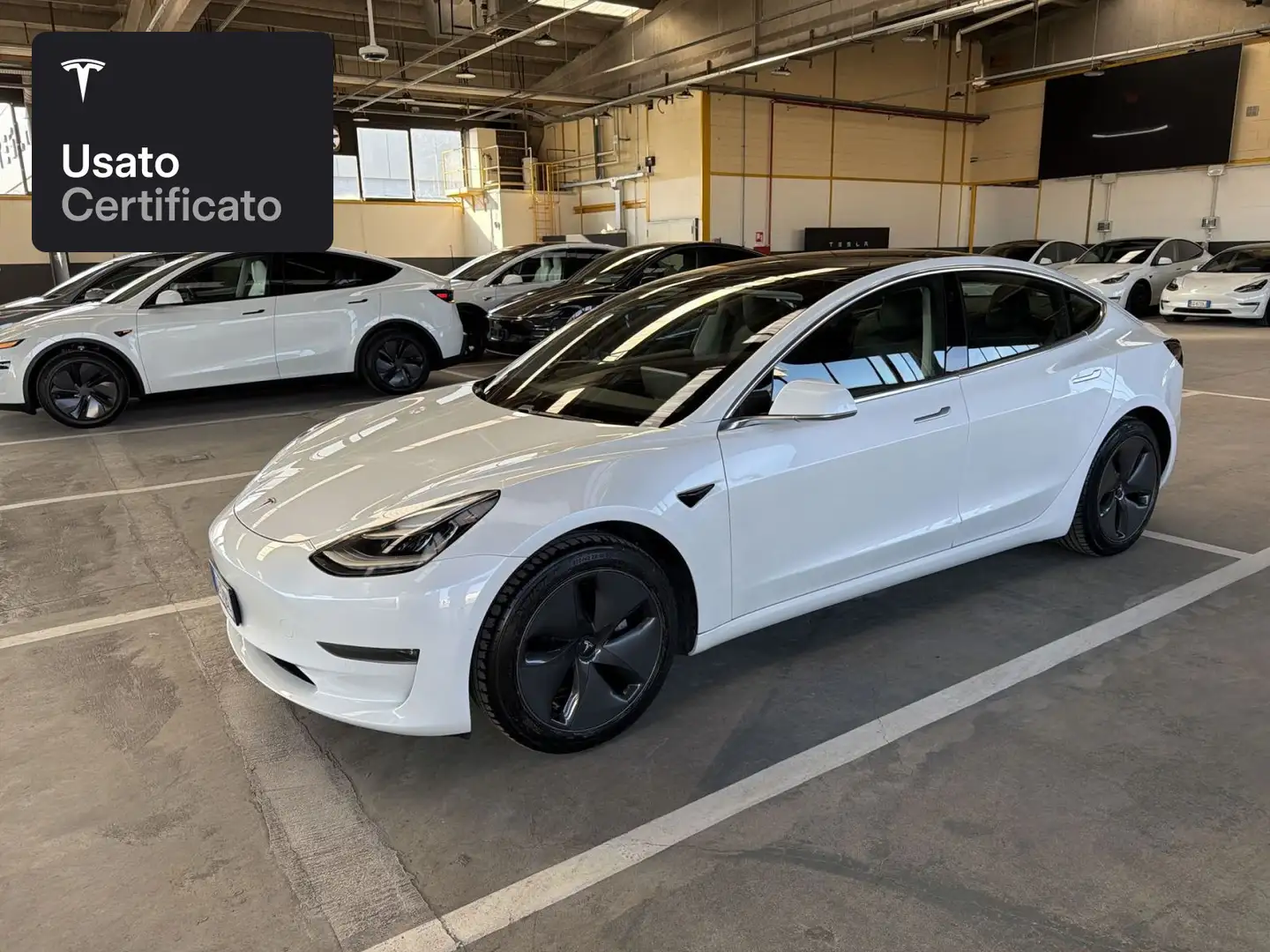 Tesla Model 3 Long Range AWD Blanc - 2