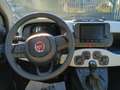 Fiat Panda Pandina Cross 1.0 firefly hybrid s&s 70cv - thumbnail 7