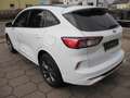 Ford Kuga Plug-In Hybrid ST-Line, AHK, Panoramadach Blanc - thumbnail 7