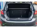 Ford Fiesta Titanium - Winterpack - Carplay Grau - thumbnail 12