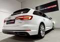 Audi A4 40 TDI quattro sport Weiß - thumbnail 3