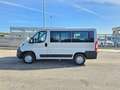 Fiat Ducato 30 2.3 MJT 140CV PC-TN 9 POSTI COMBI Bianco - thumbnail 11