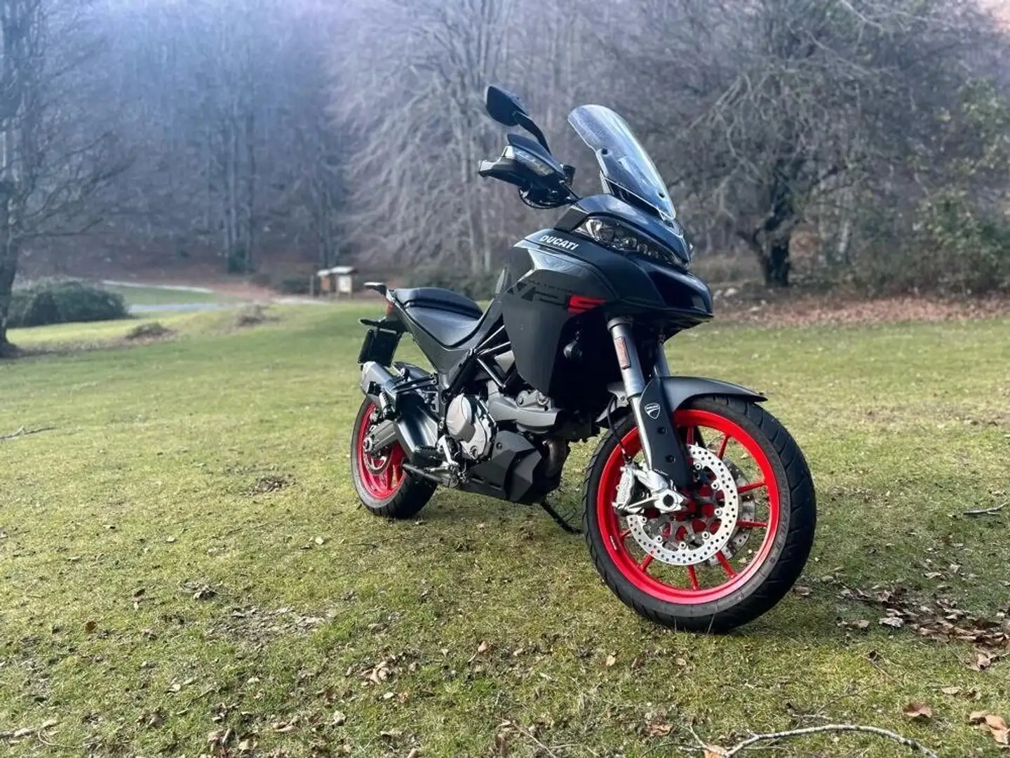 Ducati Multistrada 950 Gri - 1