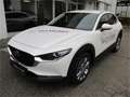 Mazda 2 05  CX-30 .5L e-SKYACTIV G 140ps 6MT WD E Білий - thumbnail 1