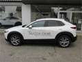 Mazda 2 05  CX-30 .5L e-SKYACTIV G 140ps 6MT WD E Білий - thumbnail 7