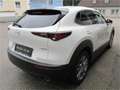 Mazda 2 05  CX-30 .5L e-SKYACTIV G 140ps 6MT WD E Білий - thumbnail 4