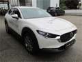 Mazda 2 05  CX-30 .5L e-SKYACTIV G 140ps 6MT WD E Білий - thumbnail 3