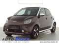 smart forFour EQ Passion Exclusive 22kW LED Kamera Braun - thumbnail 1