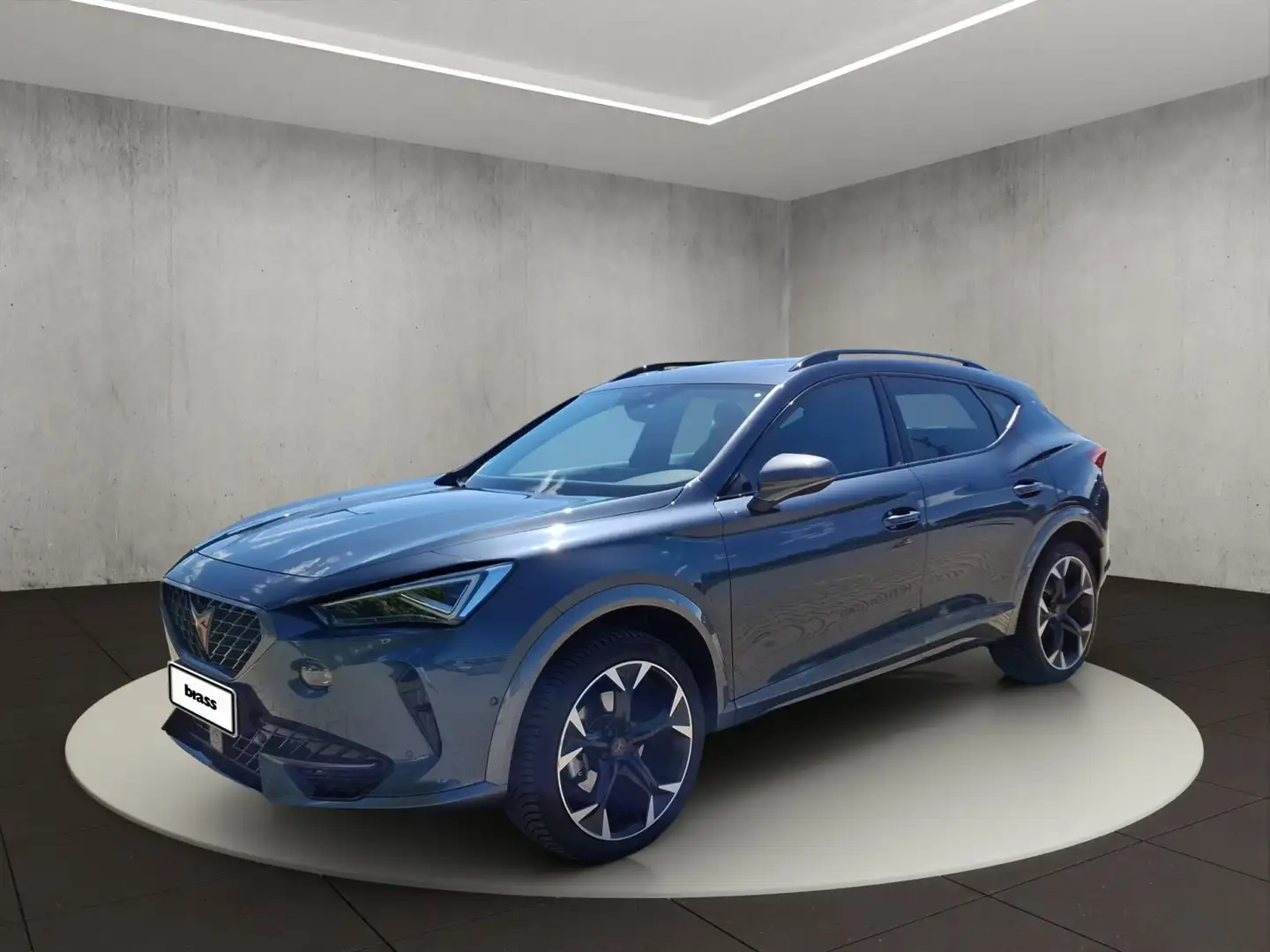 CUPRA Formentor Basis 1.5 TSI OPF Grau - 1