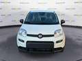 Fiat Panda 1.0 70cv Hybrid Panda Bianco - thumbnail 2