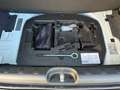 Fiat Panda 1.0 70cv Hybrid Panda Bianco - thumbnail 14