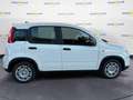 Fiat Panda 1.0 70cv Hybrid Panda Bianco - thumbnail 4