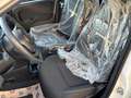 Fiat Panda 1.0 70cv Hybrid Panda Bianco - thumbnail 9