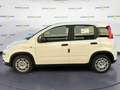 Fiat Panda 1.0 70cv Hybrid Panda Bianco - thumbnail 3