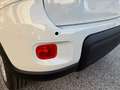 Fiat Panda 1.0 70cv Hybrid Panda Bianco - thumbnail 12