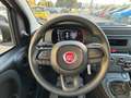 Fiat Panda 1.0 70cv Hybrid Panda Bianco - thumbnail 7